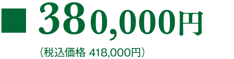 380,000円(税込価格 418,000円)