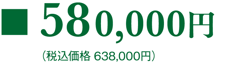 580,000円(税込価格 638,000円)