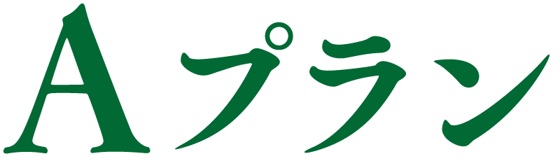 Aプラン